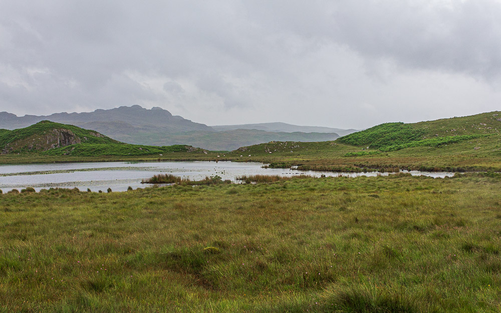 Eel Tarn
